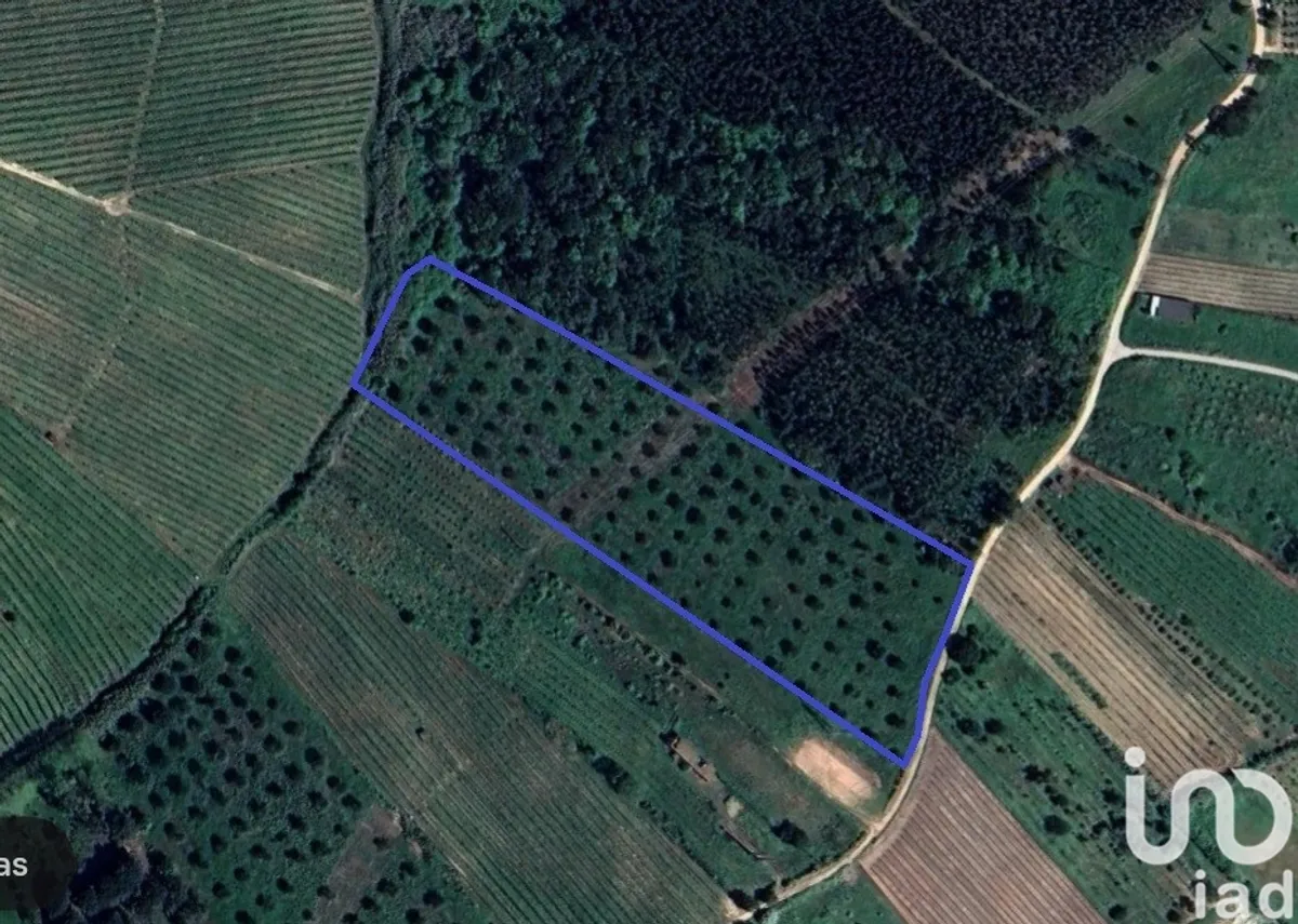 Terreno de 18 760 m² em Painho e Figueiros