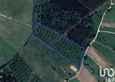 Land at Painho e Figueiros