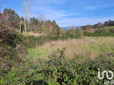 Farm land  in Pico de Regalados, Gondiães e Mós