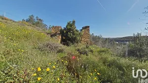 Terreno em Troviscal