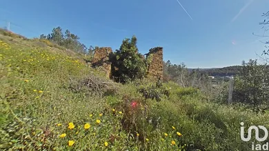 Terreno  em Troviscal