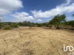 Terreno  em São Brás de Alportel