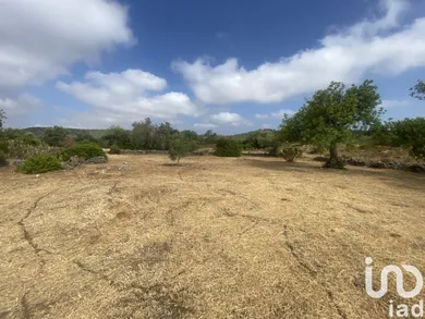 Terreno em São Brás de Alportel