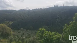Terreno  em Cardigos