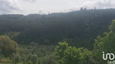 Terrain  à Cardigos