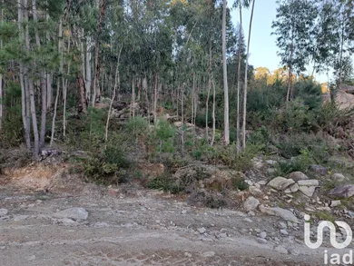 Terrain  à Pico de Regalados, Gondiães e Mós