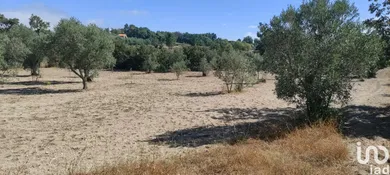 Terrain  à Carrapichana