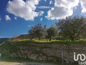 Land  at Torre de Moncorvo