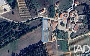 Loja / Estabelecimento Comercial  em Bombarral e Vale Covo