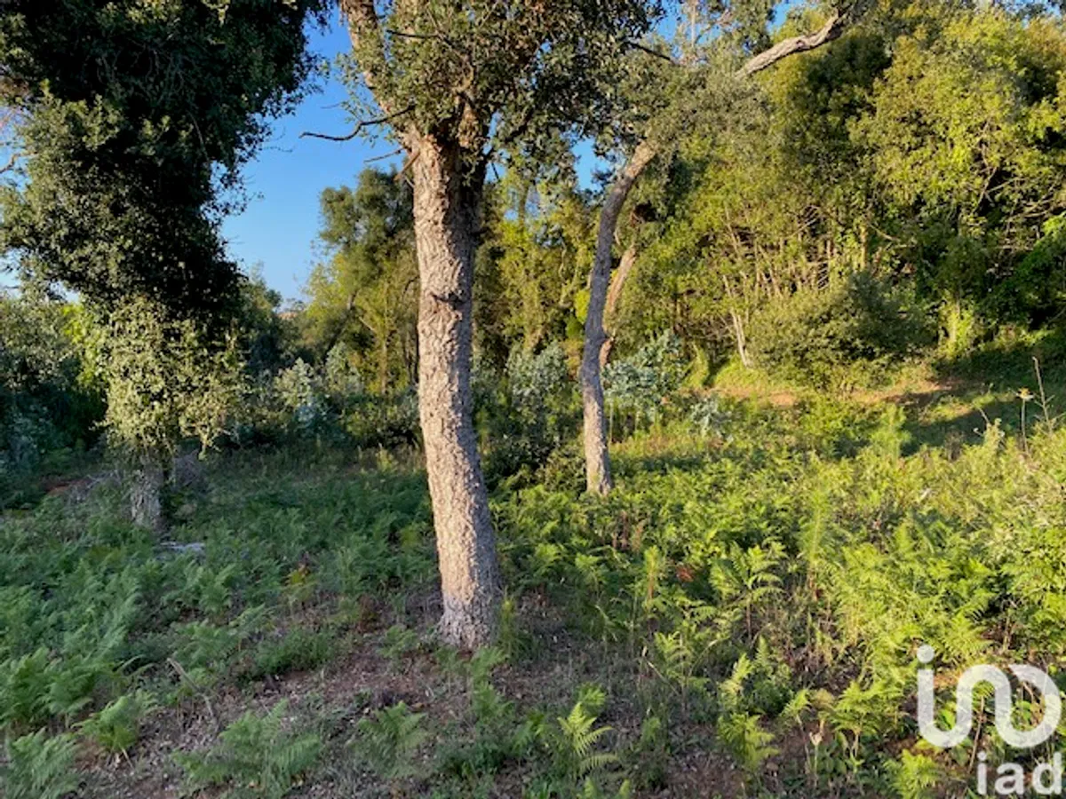 Terreno de 1500 m² em São Félix da Marinha