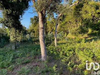 Fotografia 7 de Terreno de 4200 m² em Anta