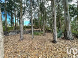 Terrain  à Palmeira de Faro e Curvos