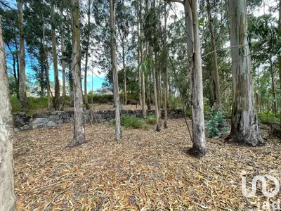 Fotografia 3 de Terreno de 10 350 m² em Palmeira de Faro e Curvos