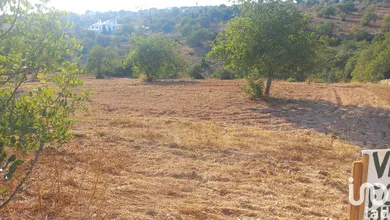 Terreno  em Boliqueime