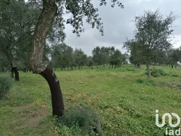 Land  in Viana do Alentejo