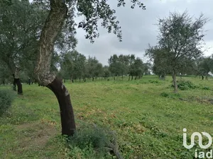 Terrain  à Viana do Alentejo