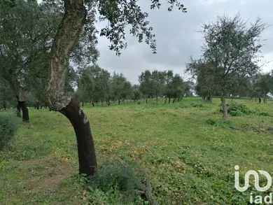 Terreno em Viana do Alentejo