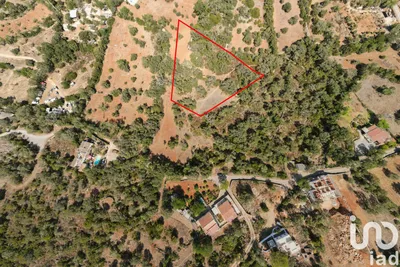 Fotografia 3 de Terreno rústico de 3000 m² em Santa Bárbara de Nexe