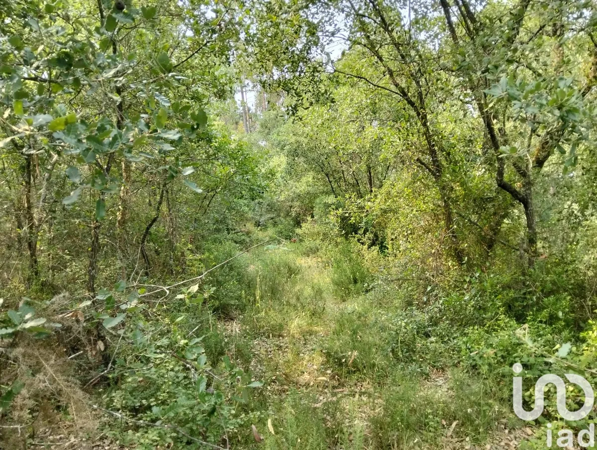 Terreno de 1480 m² em Chãos