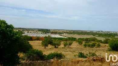 Terrain  à Santa Bárbara de Nexe