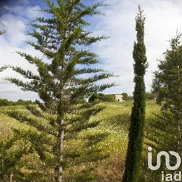 Building plot in Tavira (Santa Maria e Santiago)