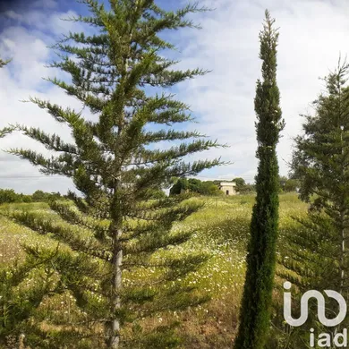 Terreno urbano  em Tavira (Santa Maria e Santiago)