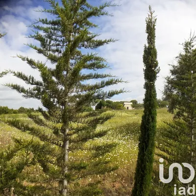 Fotografia 3 de Terreno urbano de 31 269 m² em Tavira (Santa Maria e Santiago)