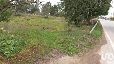 Fotografia 3 de Terreno rústico de 3500 m² em Quarteira