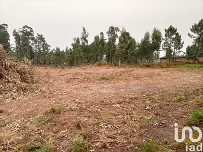 Fotografia 2 de Terreno rústico de 6532 m² em Mazarefes E Vila Fria
