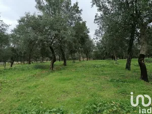 Land  at Viana do Alentejo