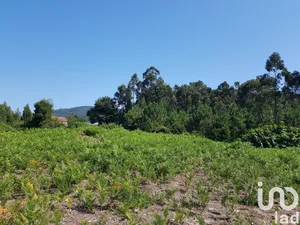 Terreno  em Reboreda e Nogueira