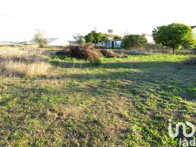 Terrain  à Asseiceira