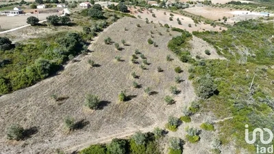 Fotografia 8 de Terreno de 48 440 m² em Carneiria