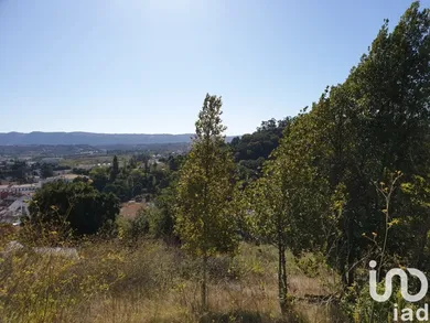 Terrain  à Alcobaça e Vestiaria