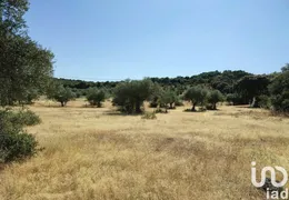 Terreno em São Brás e São Lourenço