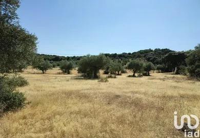 Terrain  à São Brás e São Lourenço