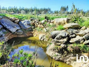 Land at Reguengo Grande