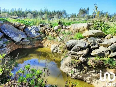 Land at Reguengo Grande