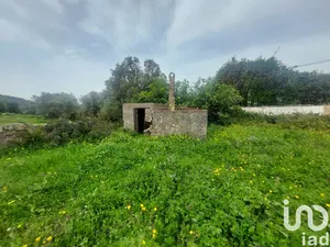 Farm land at Santa Bárbara de Nexe