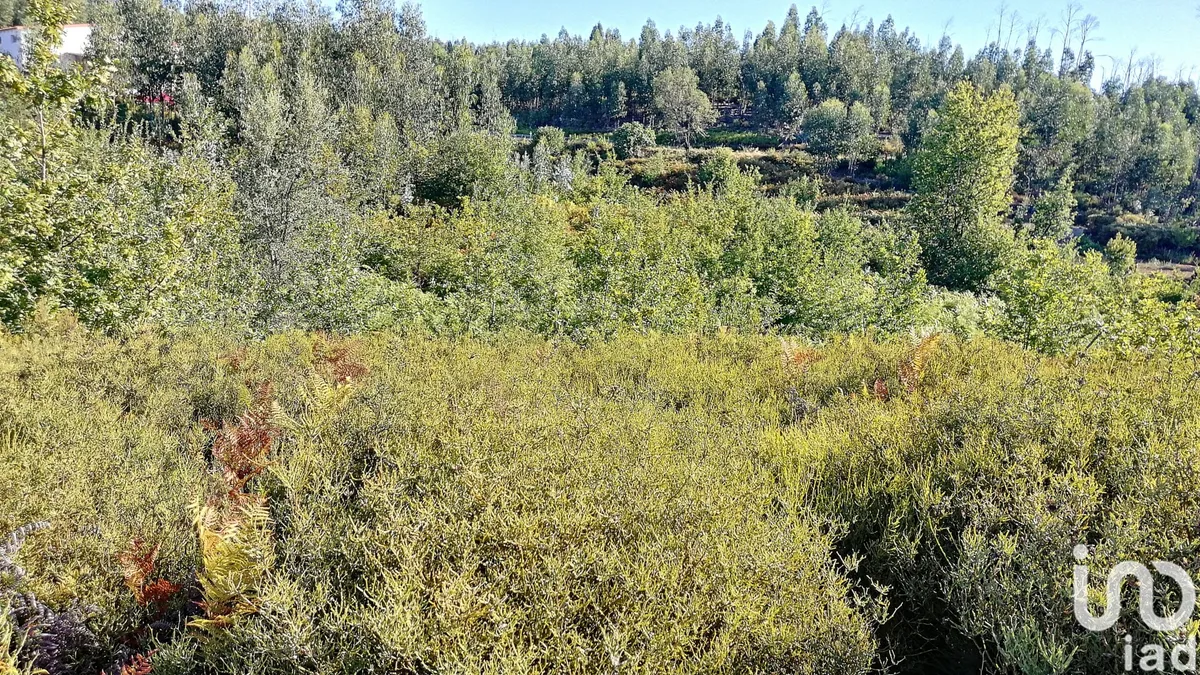 Terreno de 8900 m² em Vila Facaia