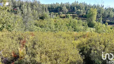 Fotografia 4 de Terreno de 1902 m² em Vila Facaia