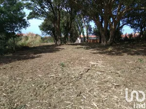 Building plot  at São Félix da Marinha
