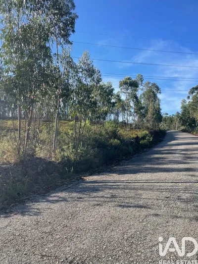 Fotografia 5 de Terreno de 1270 m² em Baltar