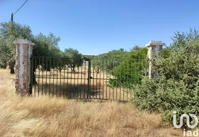 Terrain  à São Brás e São Lourenço