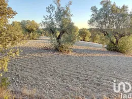 Terreno em Carregueiros