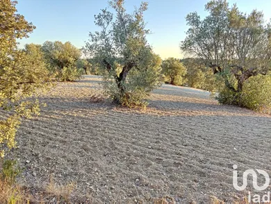 Terreno  em Carregueiros