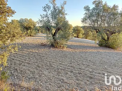 Fotografia 3 de Terreno de 10 500 m² em Carregueiros