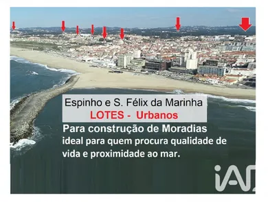 Terreno  em Anta E Guetim