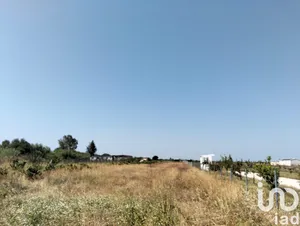 Land  in Benfica do Ribatejo