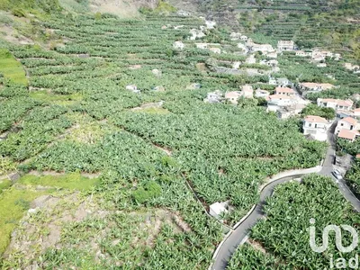 Fotografia 3 de Terreno de 3990 m² em Ponta do Sol